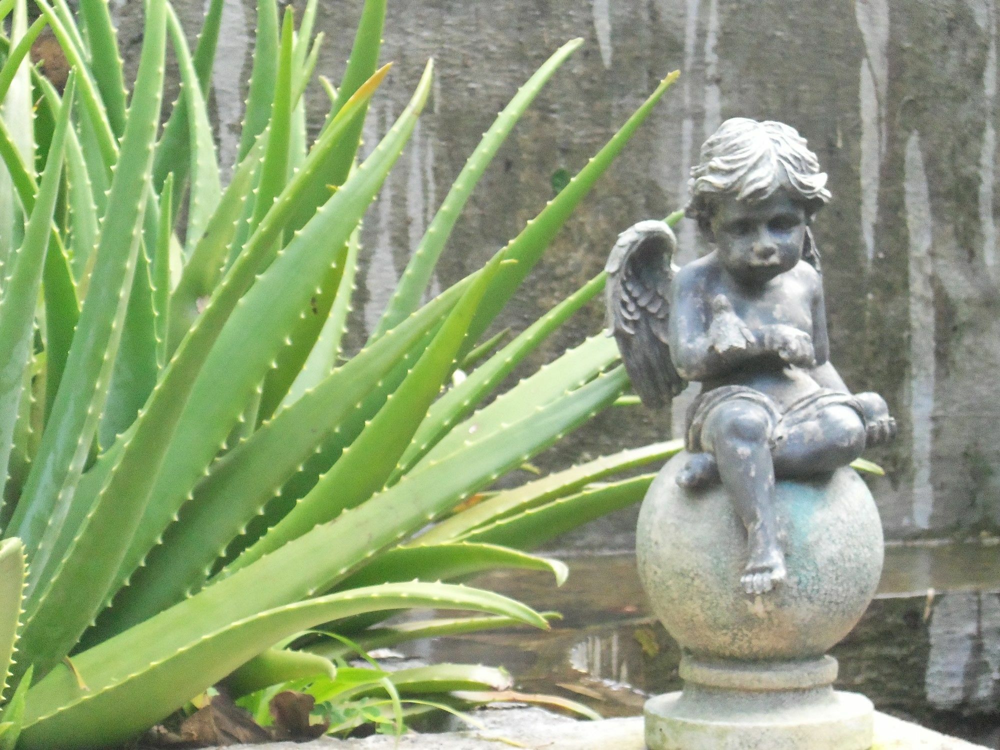 Selera Dunia Boutique Hotel Windward Side Exteriér fotografie